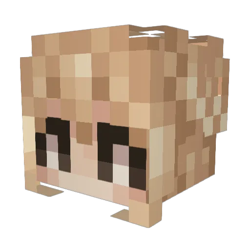 ssubinism Minecraft avatar head, 3D render