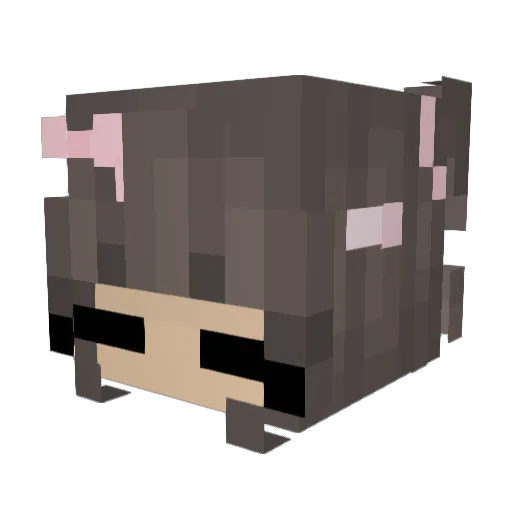 ssugarrushhh Minecraft avatar head, 3D render