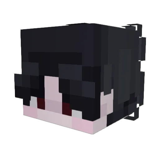 ssunfishes Minecraft avatar head, 3D render