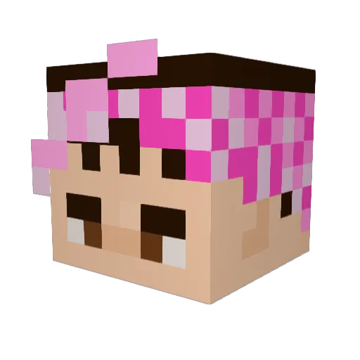 ssupernani Minecraft avatar head, 3D render