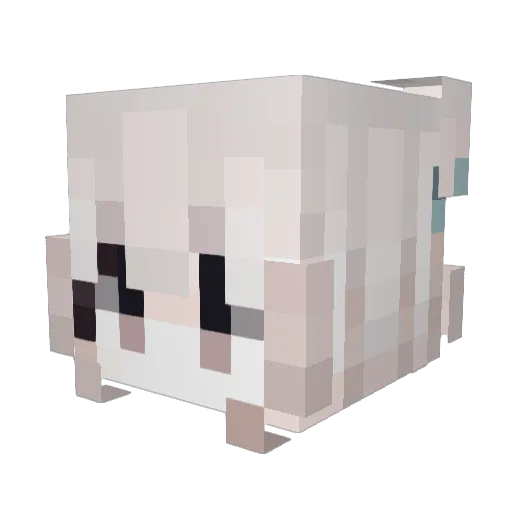ssvnrisx Minecraft avatar head, 3D render