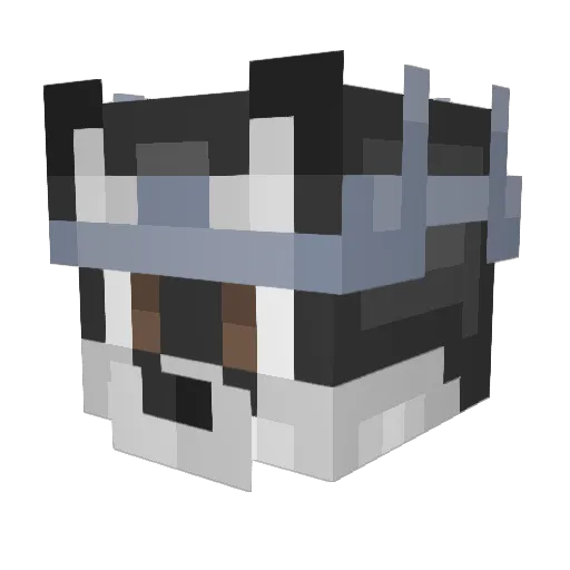 sswegchicken Minecraft avatar head, 3D render
