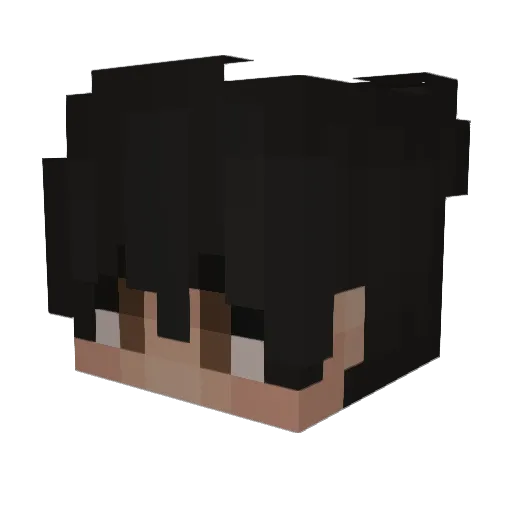 ssxbaa Minecraft avatar head, 3D render