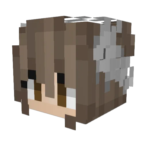ssxftie Minecraft avatar head, 3D render