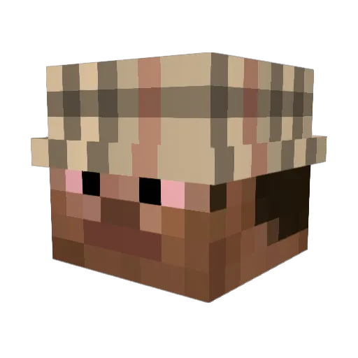 ssy187 Minecraft avatar head, 3D render