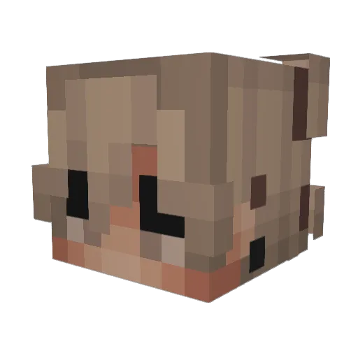 sszwed13 Minecraft avatar head, 3D render
