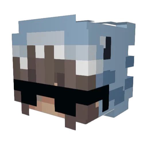 st01nks Minecraft avatar head, 3D render