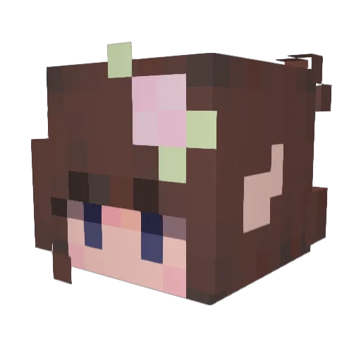 st0o00ormy Minecraft avatar head, 3D render