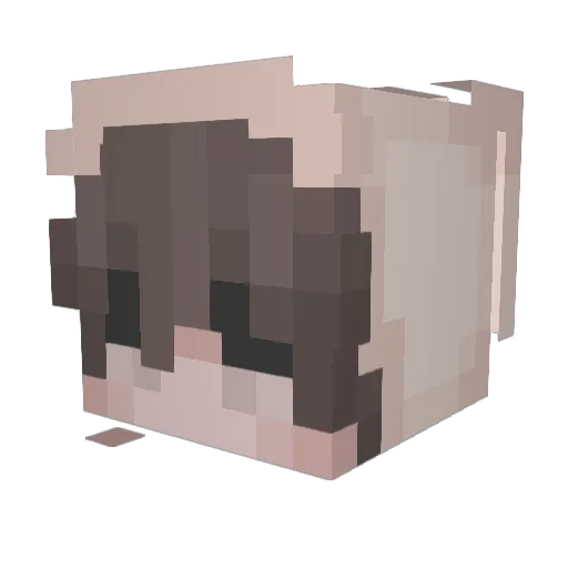 st0rmsuki Minecraft avatar head, 3D render