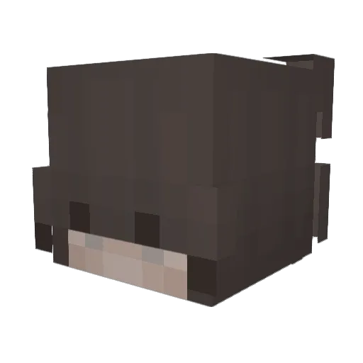 st2rter Minecraft avatar head, 3D render