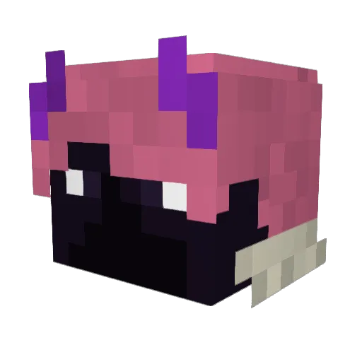 st4rrvine Minecraft avatar head, 3D render
