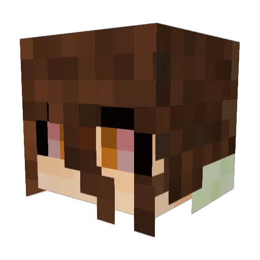 st4rt Minecraft avatar head, 3D render