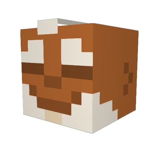 st8coder Minecraft avatar head, 3D render