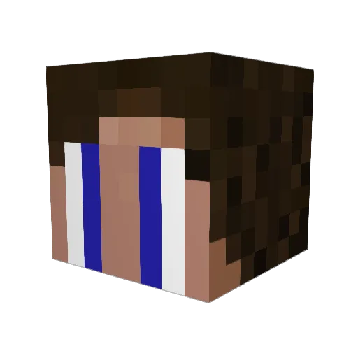 stAAAn_ Minecraft avatar head, 3D render
