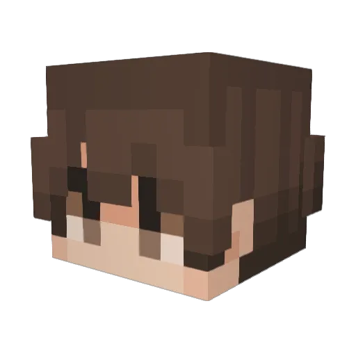 st_speel Minecraft avatar head, 3D render