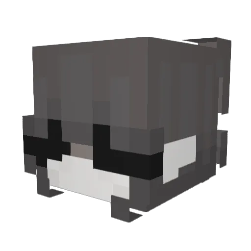 sta1cy Minecraft avatar head, 3D render