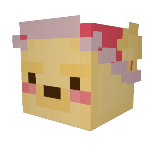 stabby02 Minecraft avatar head, 3D render