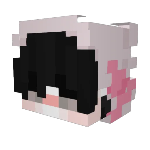 stabgod Minecraft avatar head, 3D render