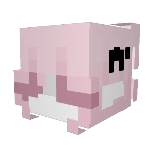 stabmepls Minecraft avatar head, 3D render