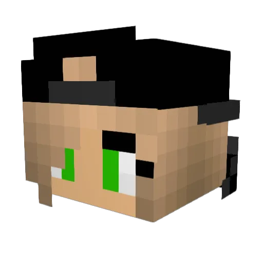 stacheliger_Igel Minecraft avatar head, 3D render