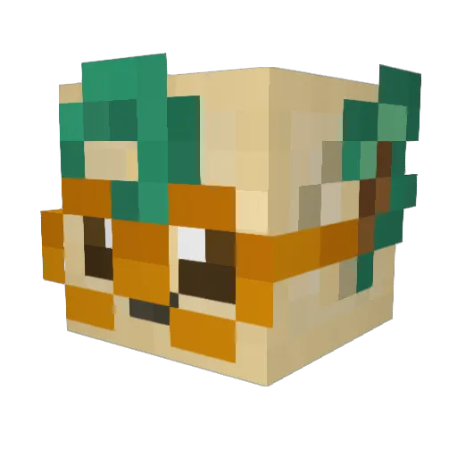 stachoru Minecraft avatar head, 3D render