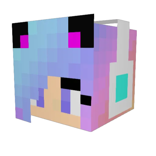 stacypoo Minecraft avatar head, 3D render