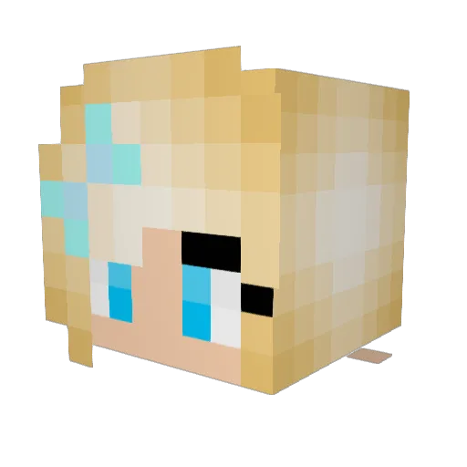 stade03 Minecraft avatar head, 3D render