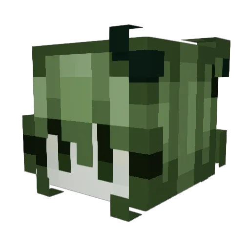 staffwontgetme Minecraft avatar head, 3D render
