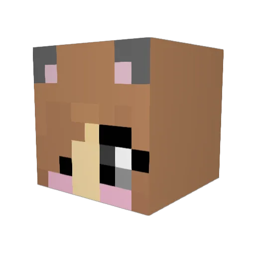 stagor14 Minecraft avatar head, 3D render