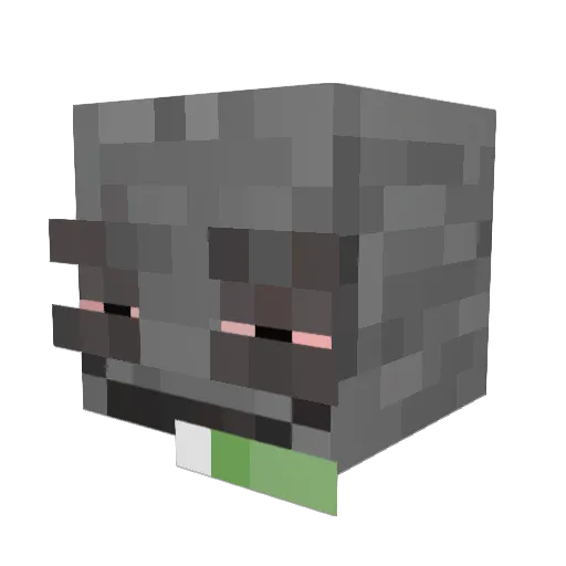 stahlsprinter Minecraft avatar head, 3D render
