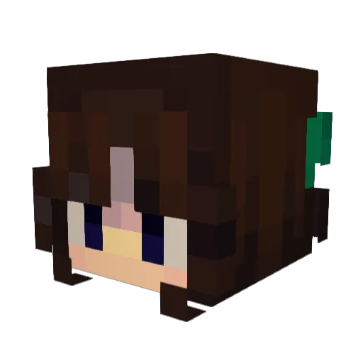 stalker4life Minecraft avatar head, 3D render