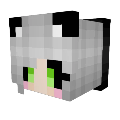 stallion101 Minecraft avatar head, 3D render