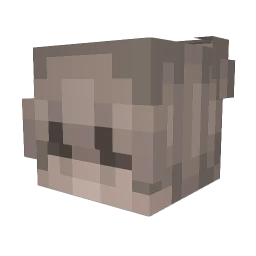 stalyn1 Minecraft avatar head, 3D render