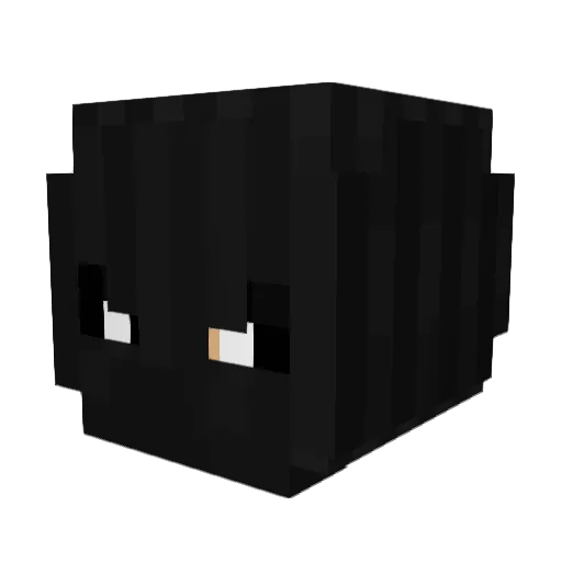 stamper_osama Minecraft avatar head, 3D render