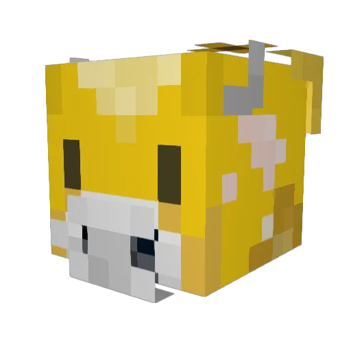 stampothy Minecraft avatar head, 3D render