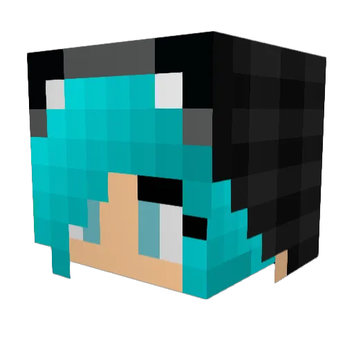 stampysprincess Minecraft avatar head, 3D render