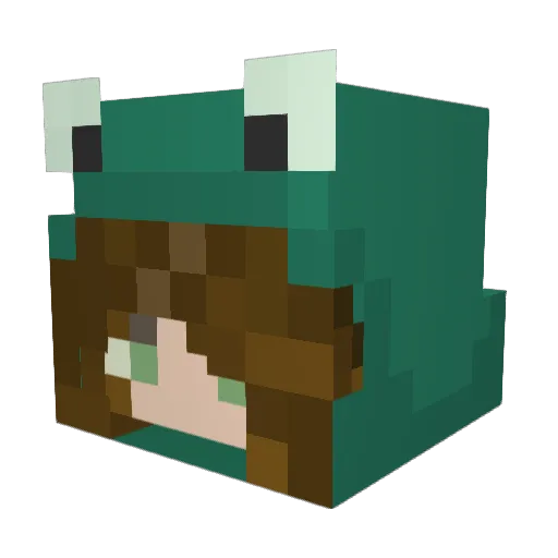 stancat_ Minecraft avatar head, 3D render