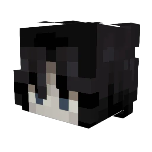 standuser21 Minecraft avatar head, 3D render