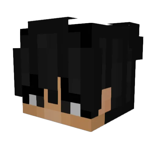 stanislaw1337 Minecraft avatar head, 3D render