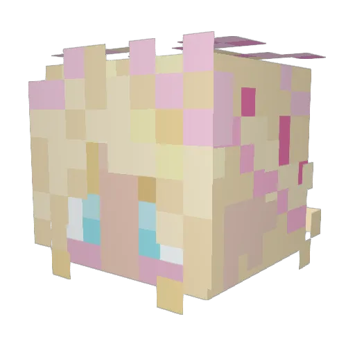stankeebutt Minecraft avatar head, 3D render