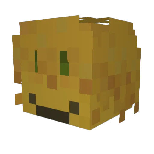 stankeii Minecraft avatar head, 3D render