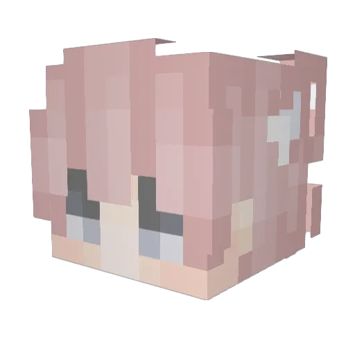 stanman6969 Minecraft avatar head, 3D render