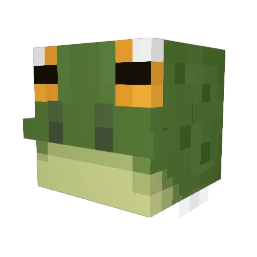 stanol Minecraft avatar head, 3D render