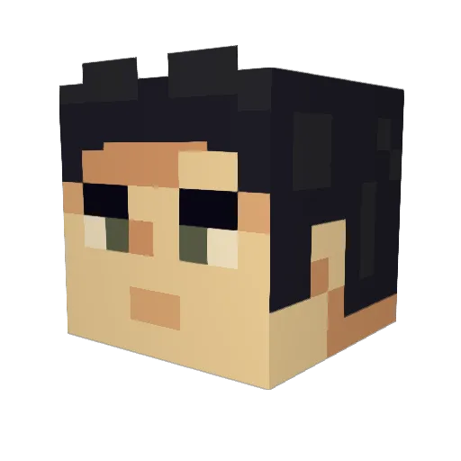 stanroom Minecraft avatar head, 3D render