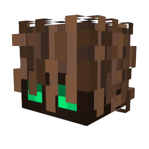 stanstanmansan Minecraft avatar head, 3D render