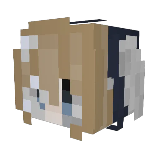 starHD1 Minecraft avatar head, 3D render