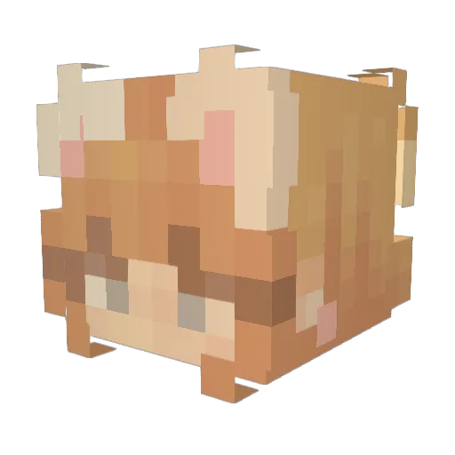 star_1301 Minecraft avatar head, 3D render