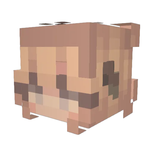 star_light3 Minecraft avatar head, 3D render