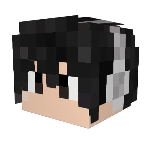 star_sharp Minecraft avatar head, 3D render