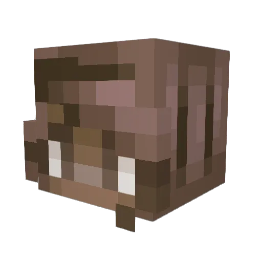 star_vai Minecraft avatar head, 3D render